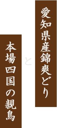 愛知県産錦爽どり